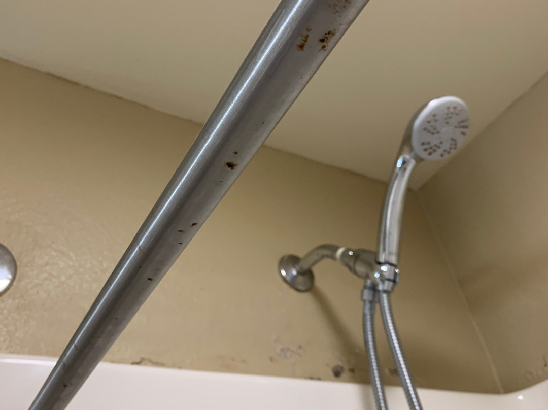 Comfort Inn & Suites Rome South主图