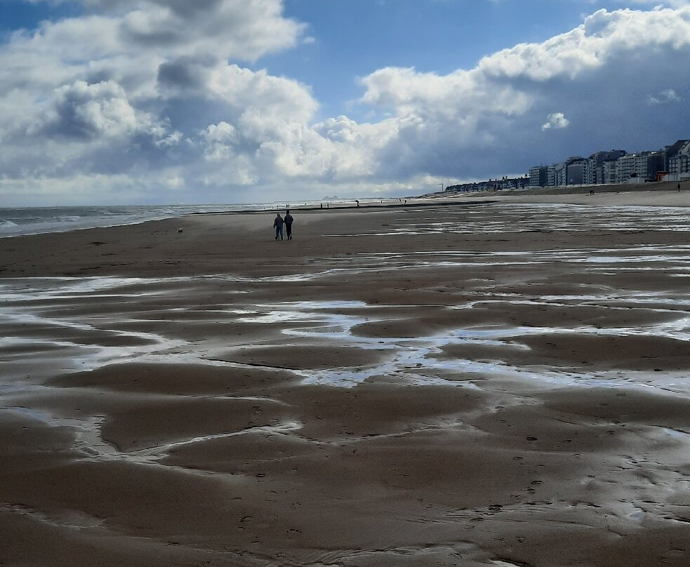 Strand Knokke景点图片