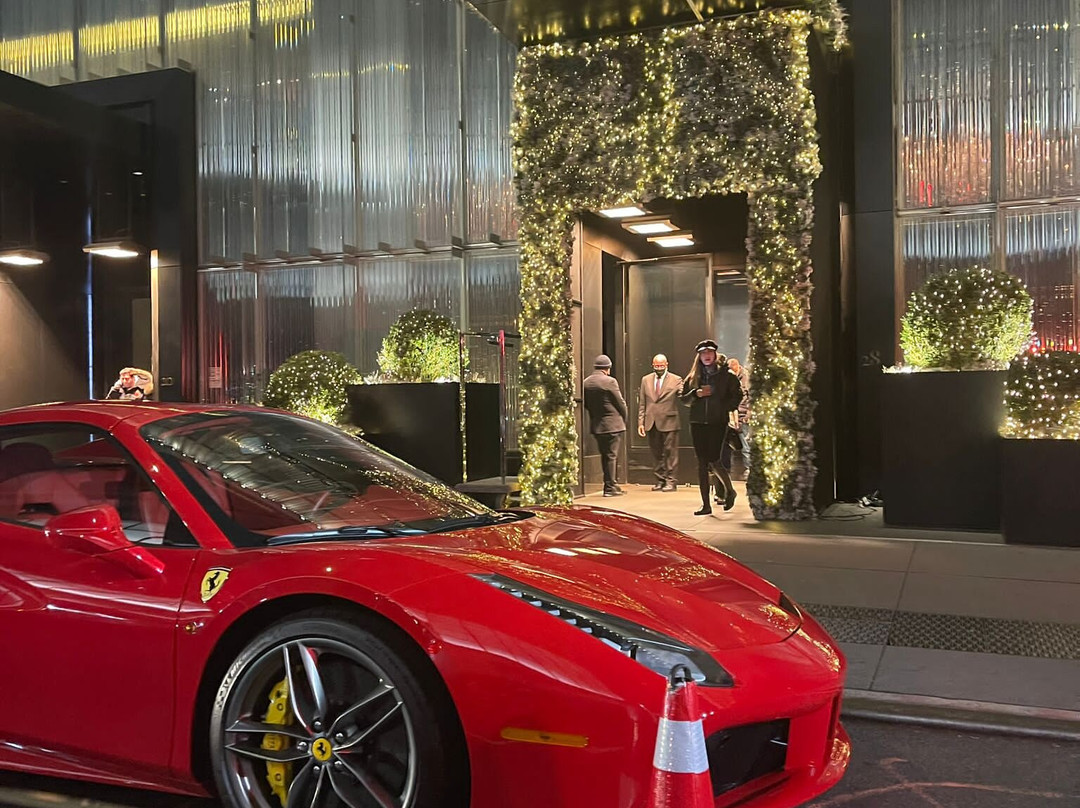 纽约巴卡拉酒店及公寓主图