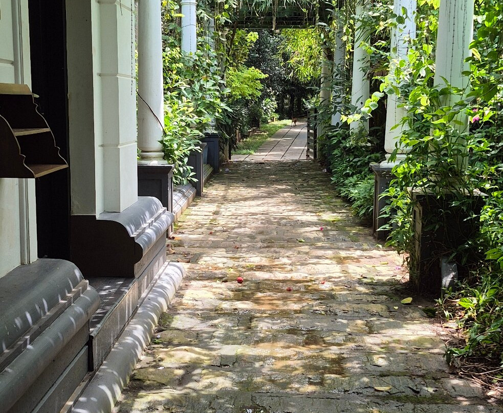 Softouch Ayurveda Village & Resort主图