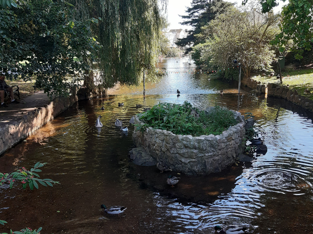 Dawlish Lawn and Dawlish Water-道利什必去景点