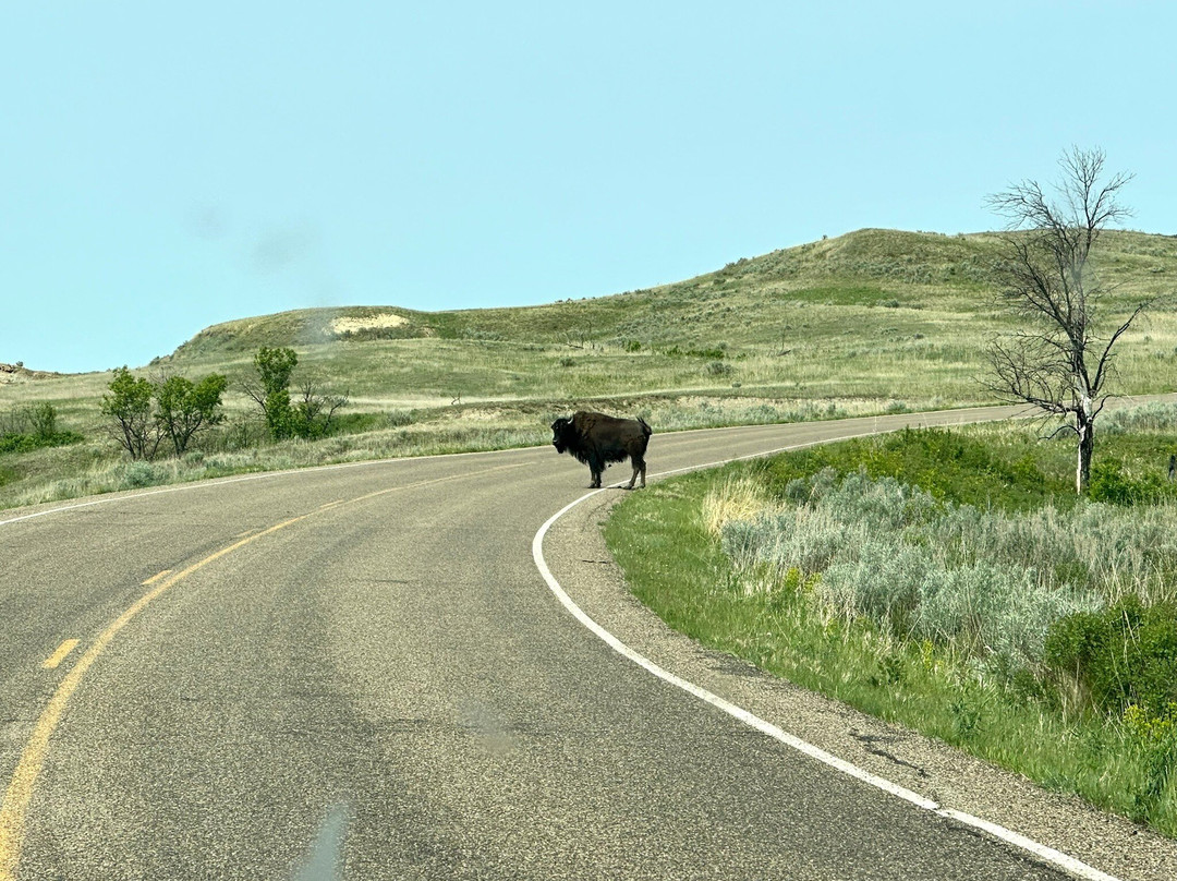 North Unit-Theodore Roosevelt National Park必去景点