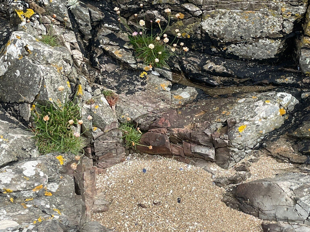 Mossyard Beach景点图片