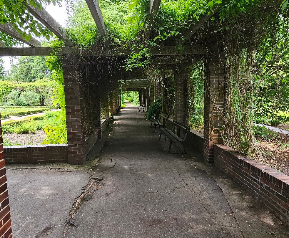 Poznan Botanical Gardens-波兹南必去景点