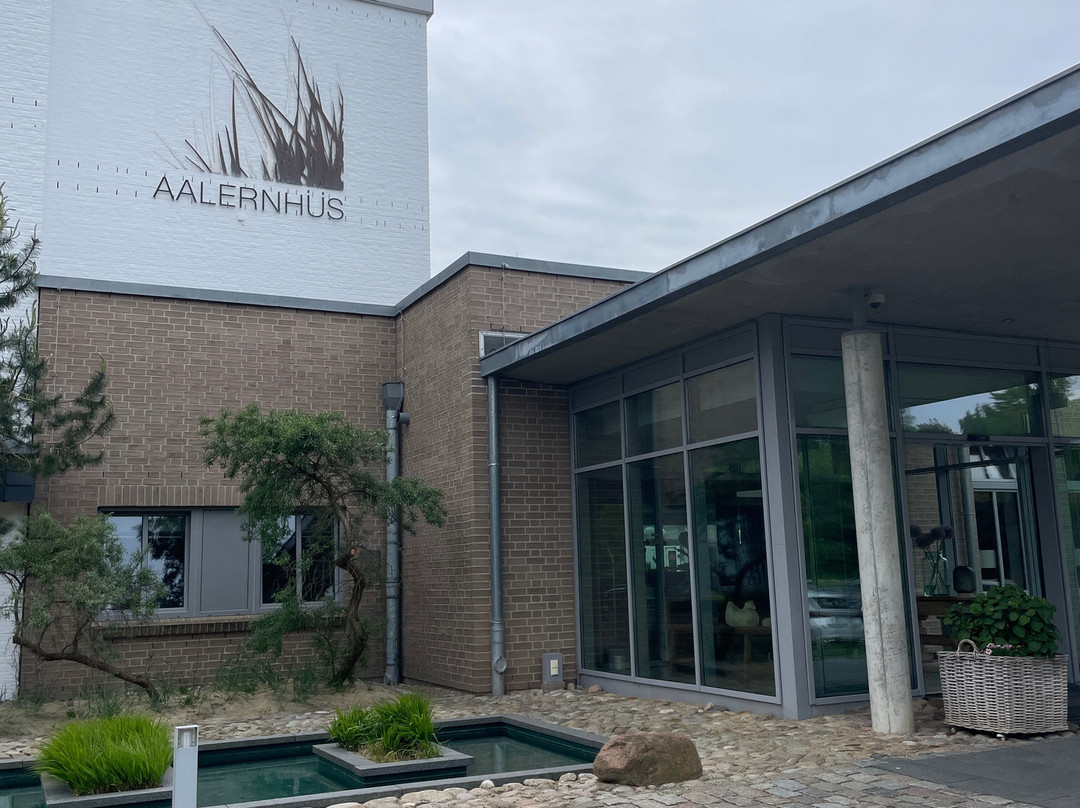 Aalernhüs Hotel & Spa主图