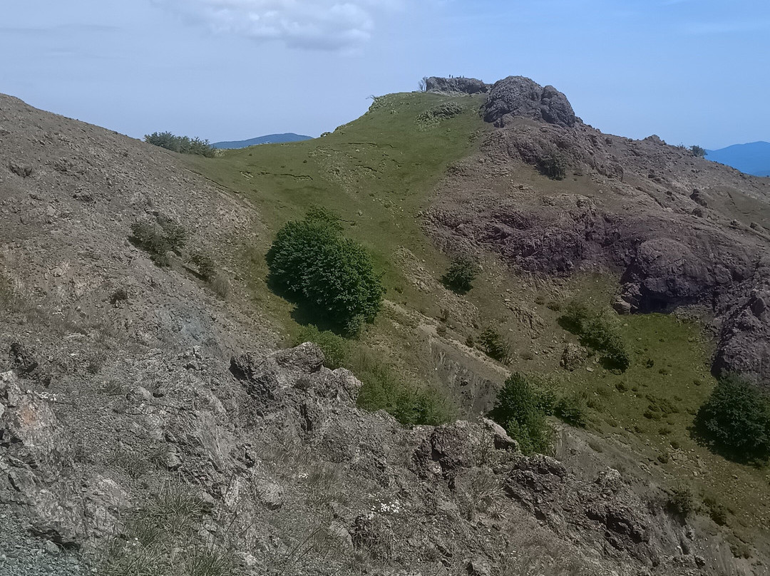 Monte Menegosa景点图片