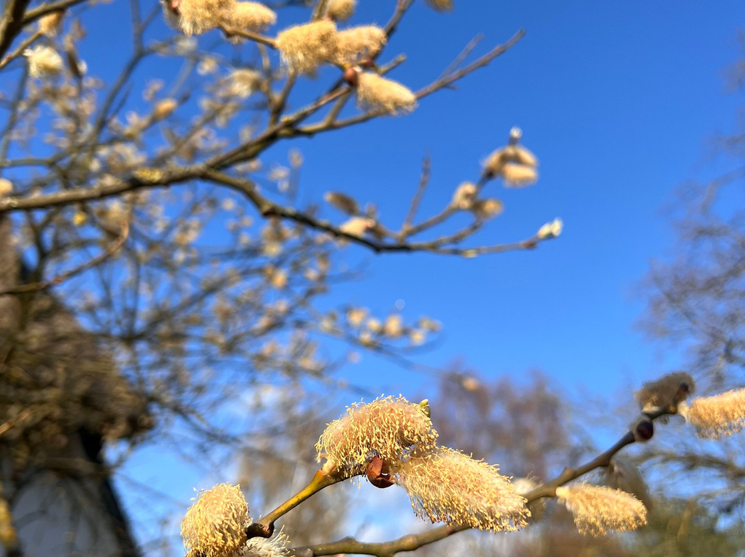 Hotel Haferland主图