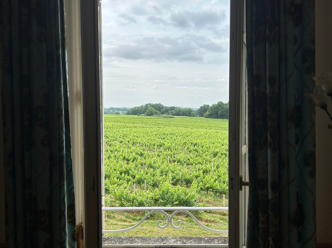 摩尔城堡酒店主图