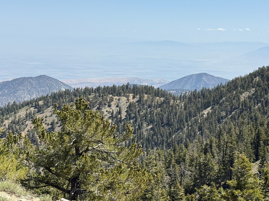 Mt. Pinos-Frazier Park必去景点