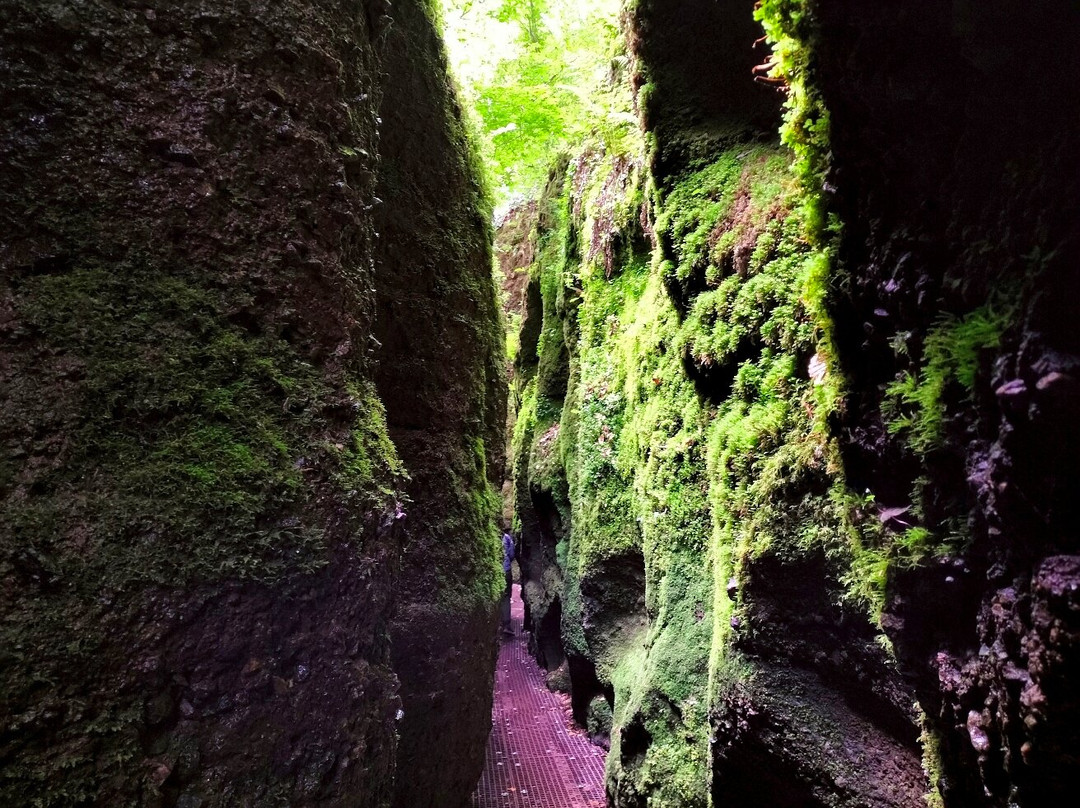 Drachenschlucht / Landgrafenschlucht-艾森纳赫必去景点