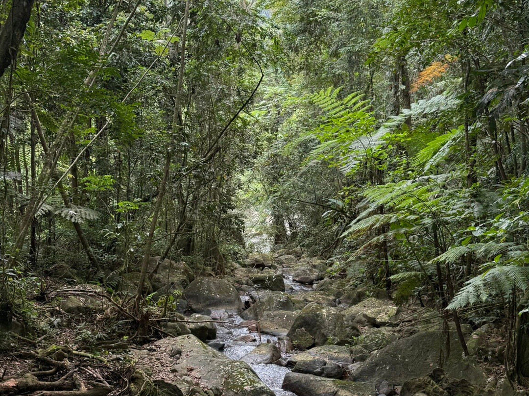 El Yunque Tours-Rio Grande必去景点