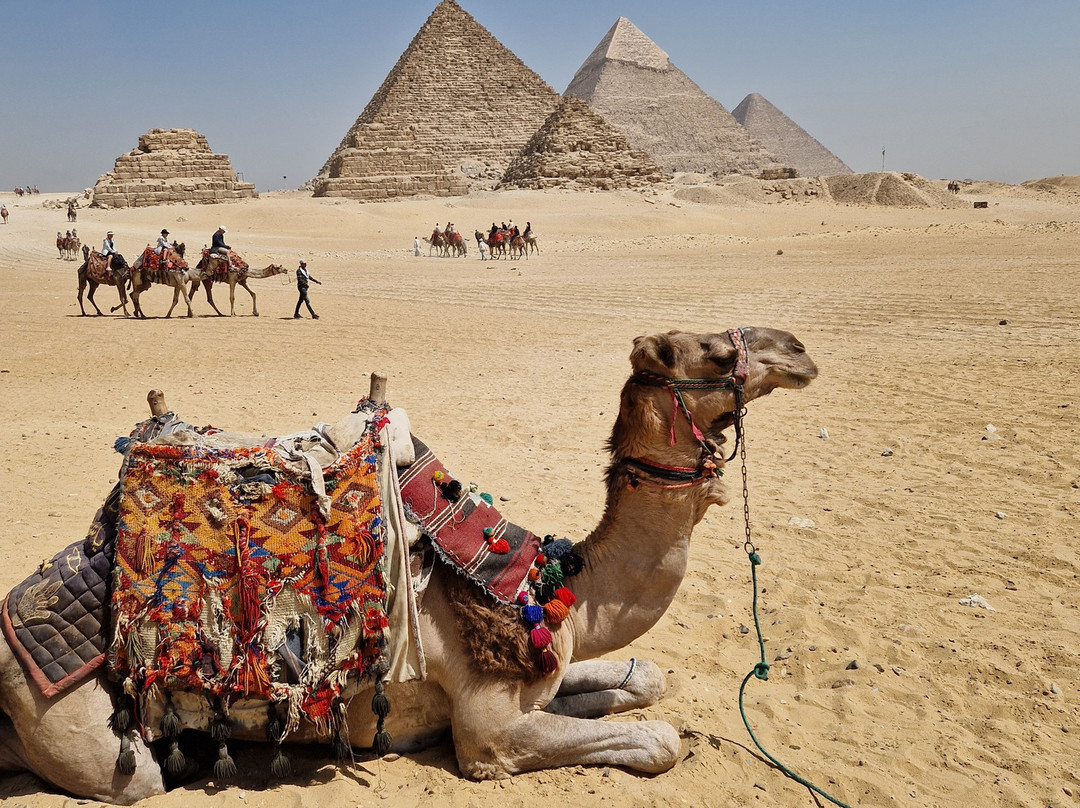 Magic-Egypte-开罗必去景点