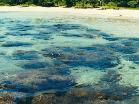 斐济世外桃源度假酒店及Spa主图