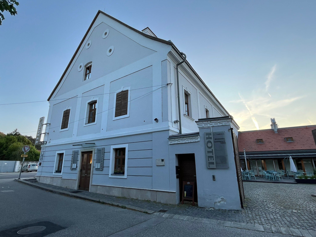 Hotel Gizella主图