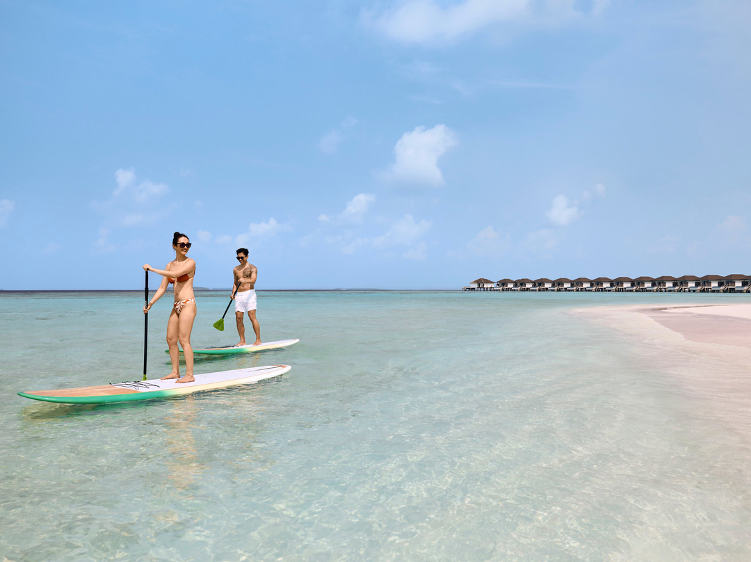 Robinson Noonu主图