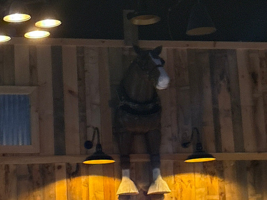 Rocking Horse Bar and Grill