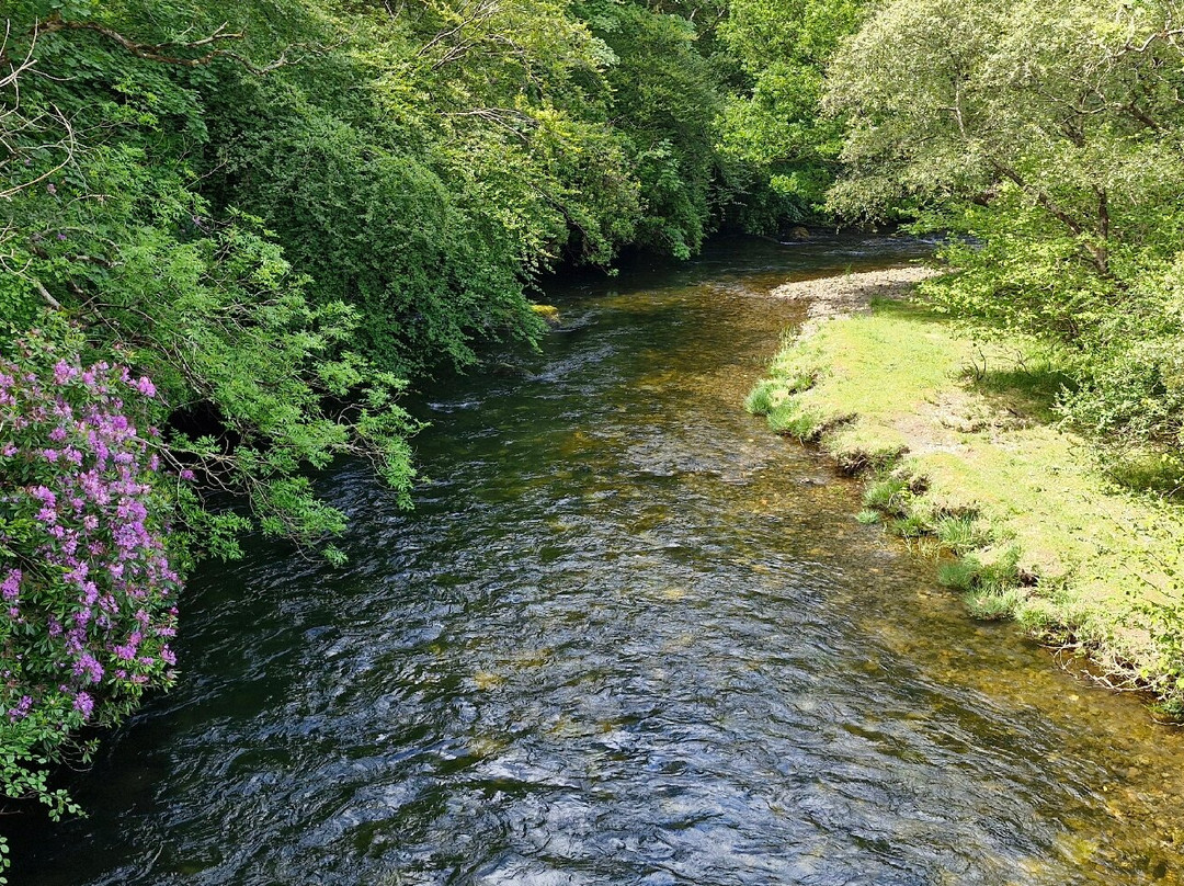 Mull Wildlife Tours-Craignure必去景点