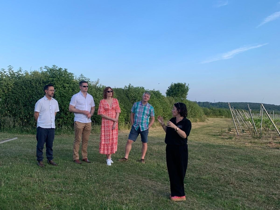 Blabers Hall Wine Estate-Fillongley必去景点