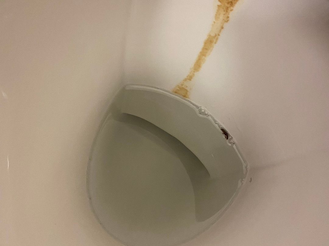 宜必思快捷朗布依埃酒店主图