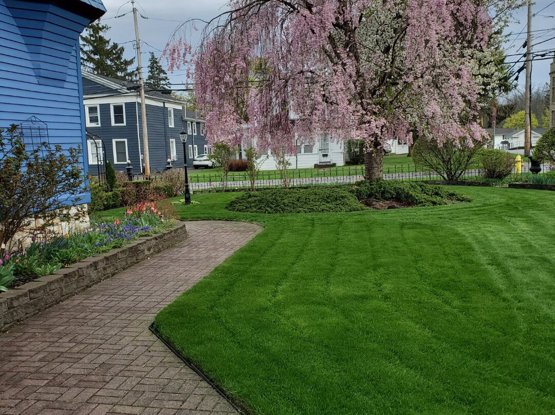 Blue Rose Victorian Bed & Breakfast主图