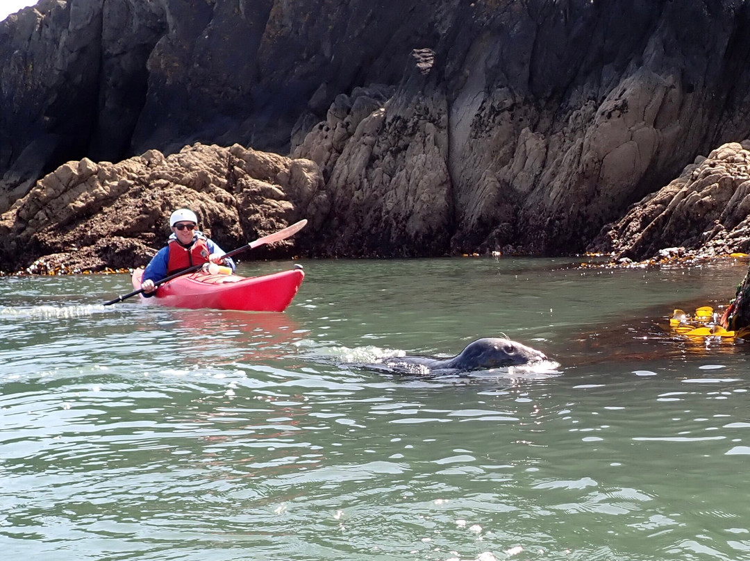 Sea Kayak Devon-达特茅斯必去景点
