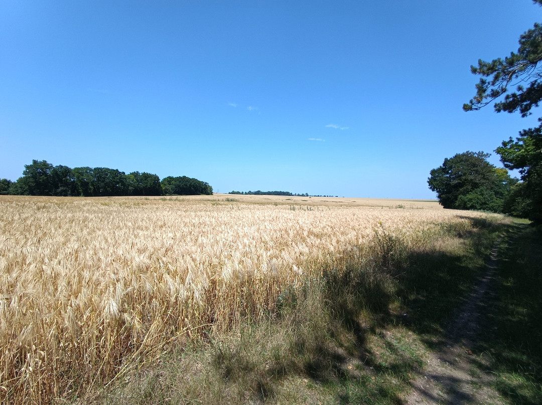 Le Sentier Botanique D'ezy-sur-eure
