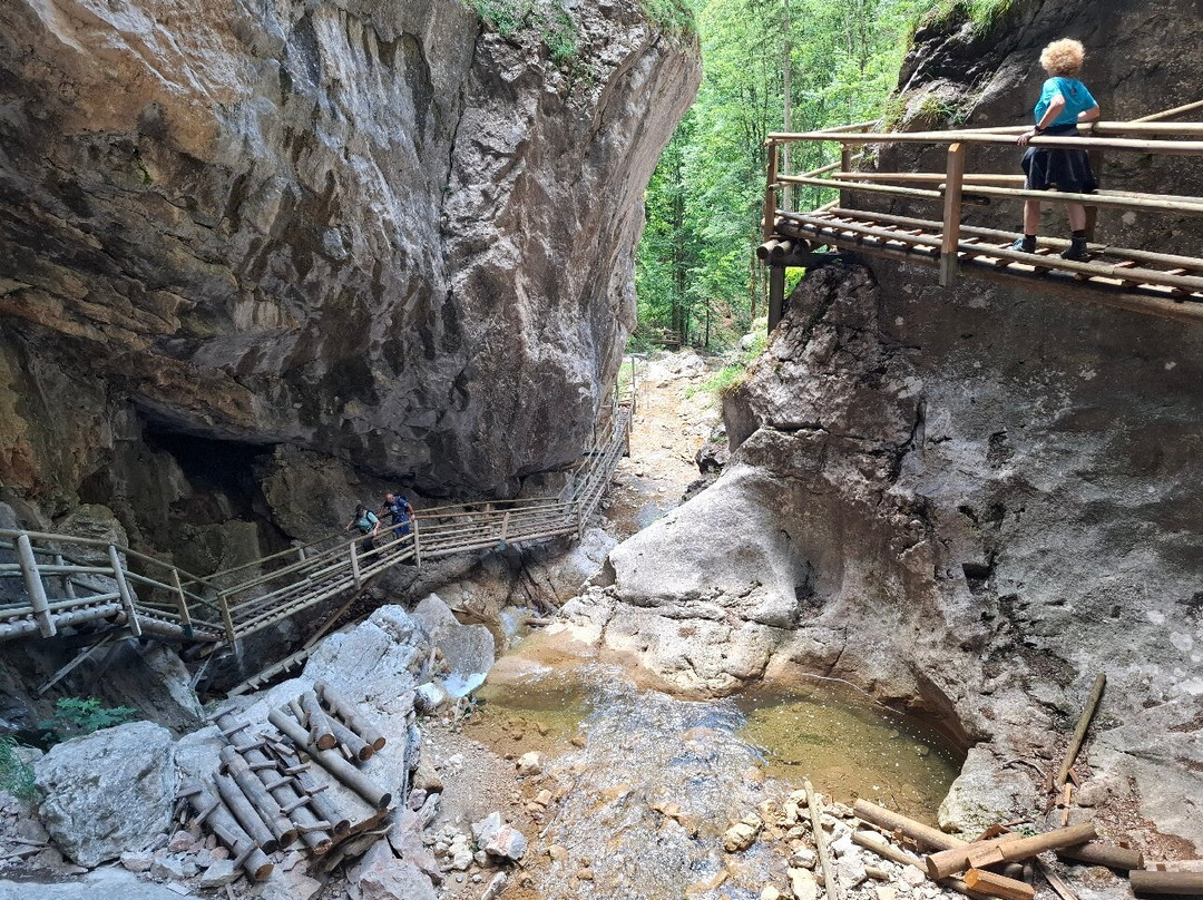 Bärenschützklamm-Mixnitz必去景点