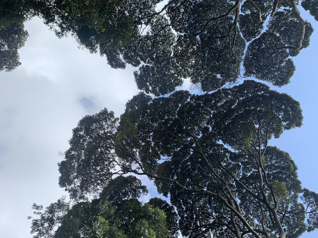 Kwamongo Expeditions-坦噶必去景点