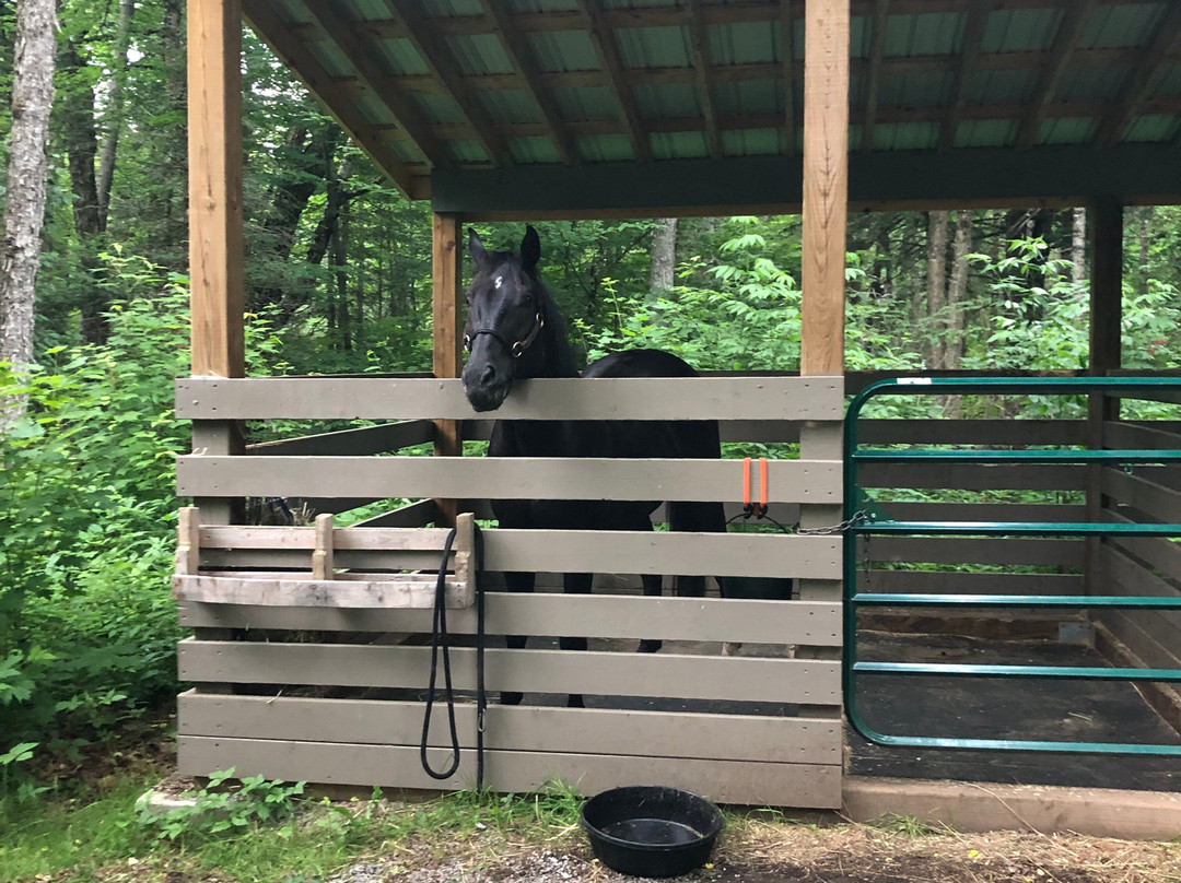 South Algonquin Trails-Harcourt必去景点