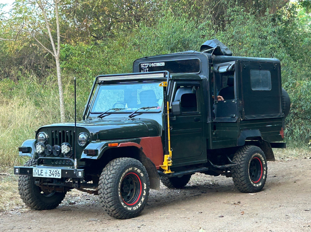 Minneriya Jeep Safari with Sandesh-哈巴拉娜必去景点