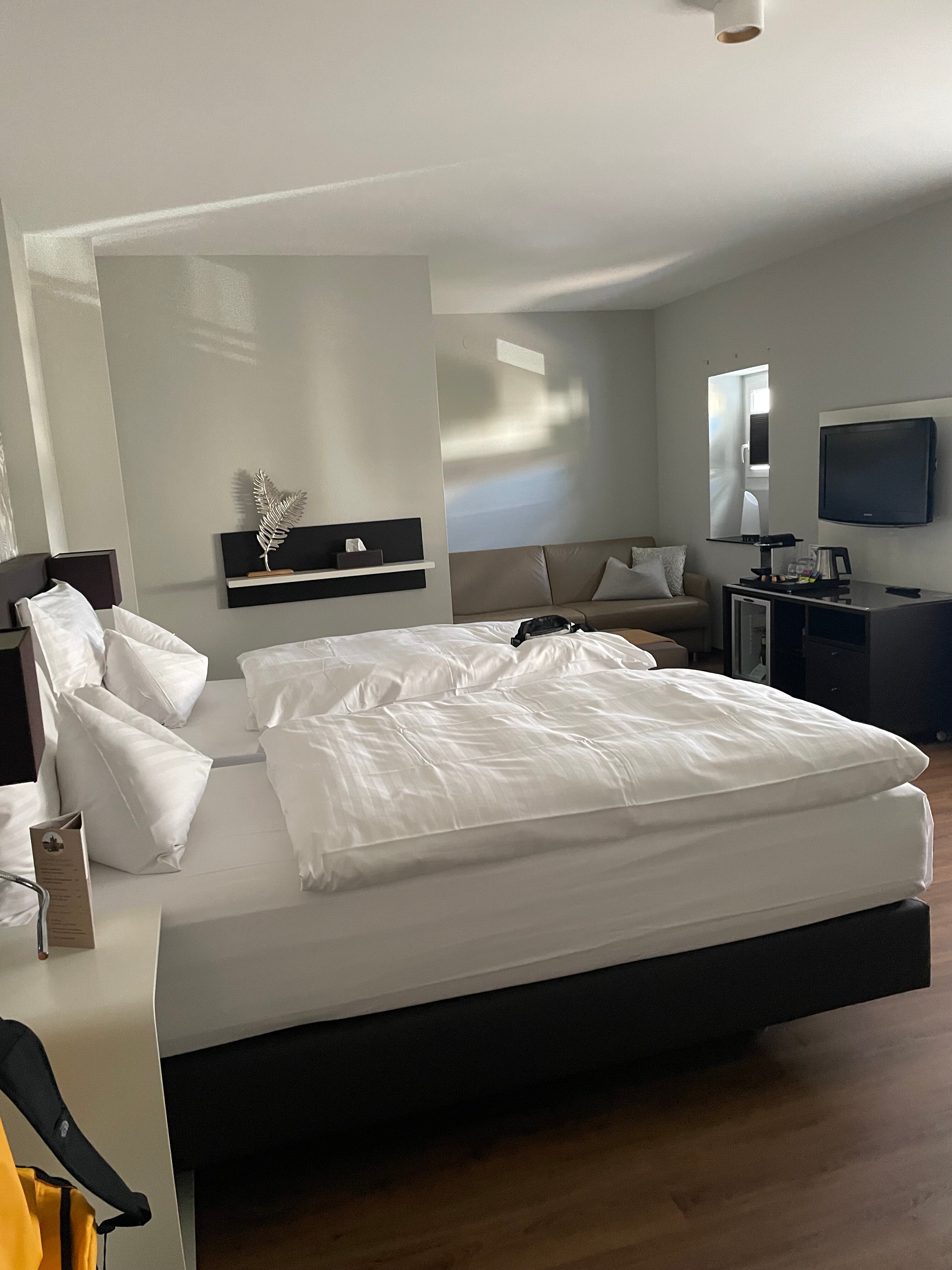 Hotel Spalentor Basel-客卧