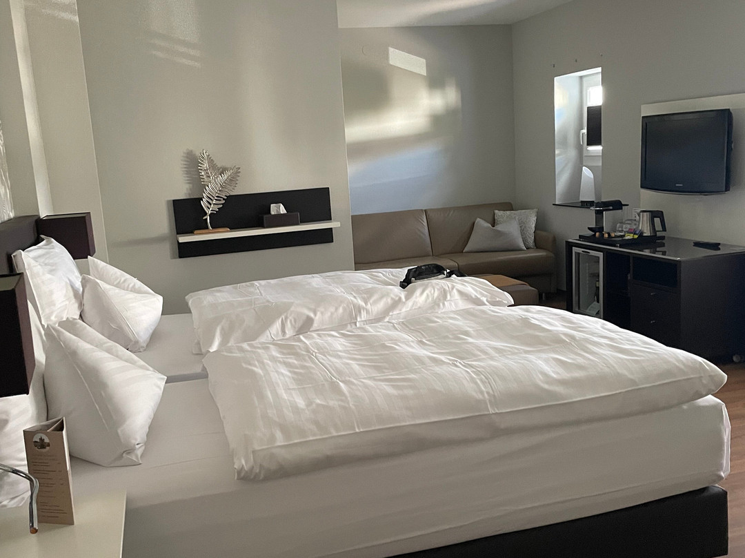 Hotel Spalentor Basel主图