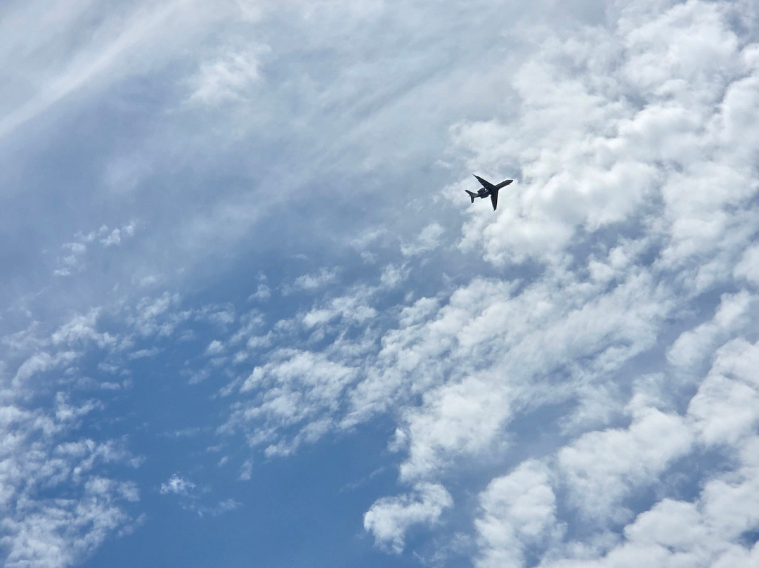 Lamoine State Park-Lamoine必去景点