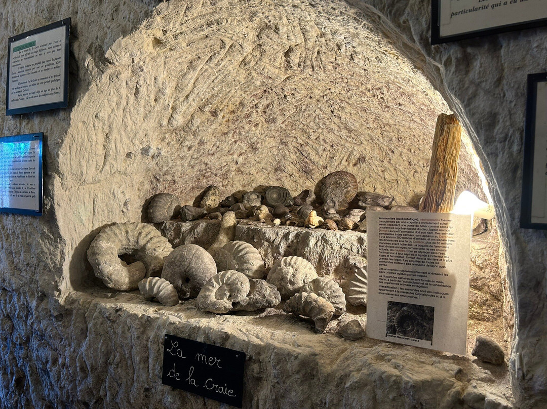 Caves Cathelineau-Chancay必去景点