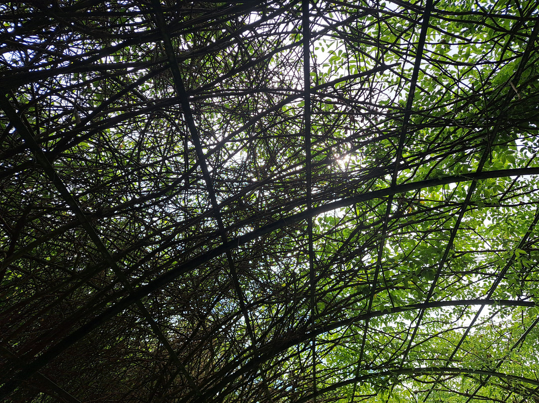 Jardin Botanique de Marnay sur Seine-Marnay-sur-Seine必去景点