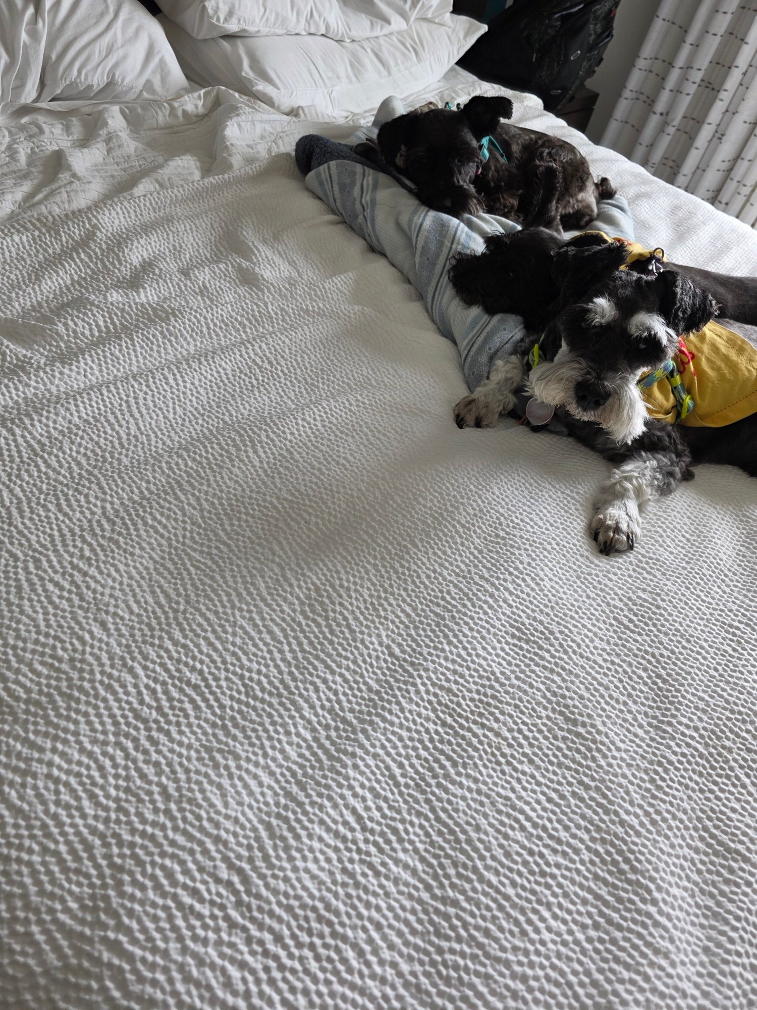 Residence Inn by Marriott San Angelo-客卧