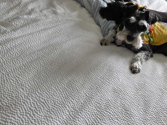 Residence Inn by Marriott San Angelo主图