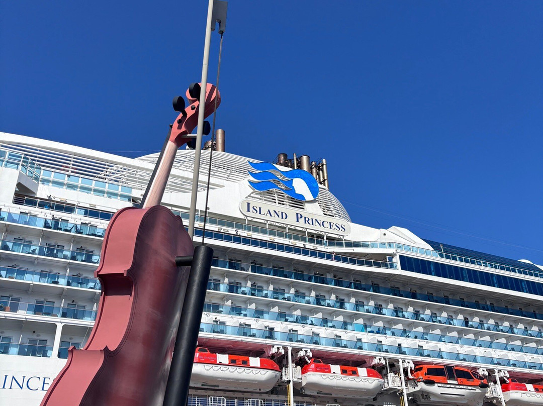 The Big Fiddle-悉尼必去景点