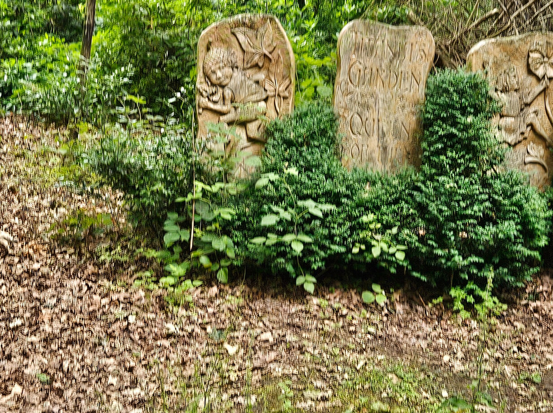 Northwood Trail – England’s Fairy Sanctuary-约克必去景点