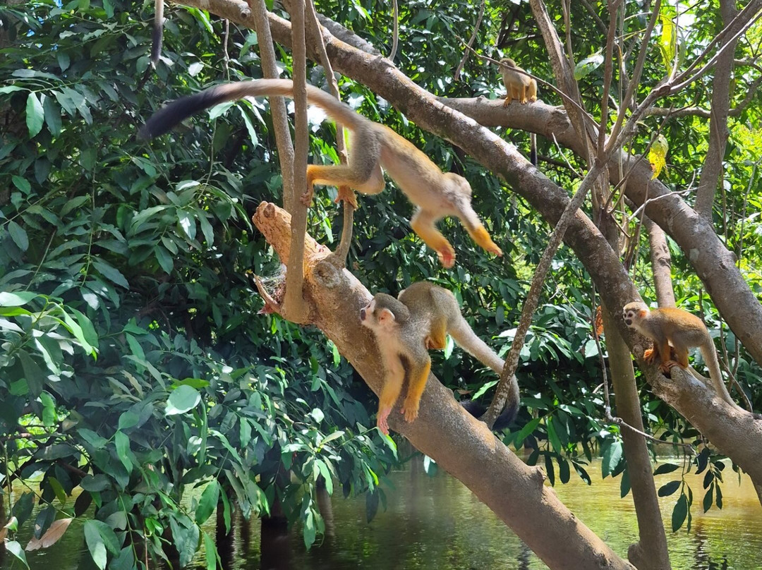 Pousada Recanto Maguary主图