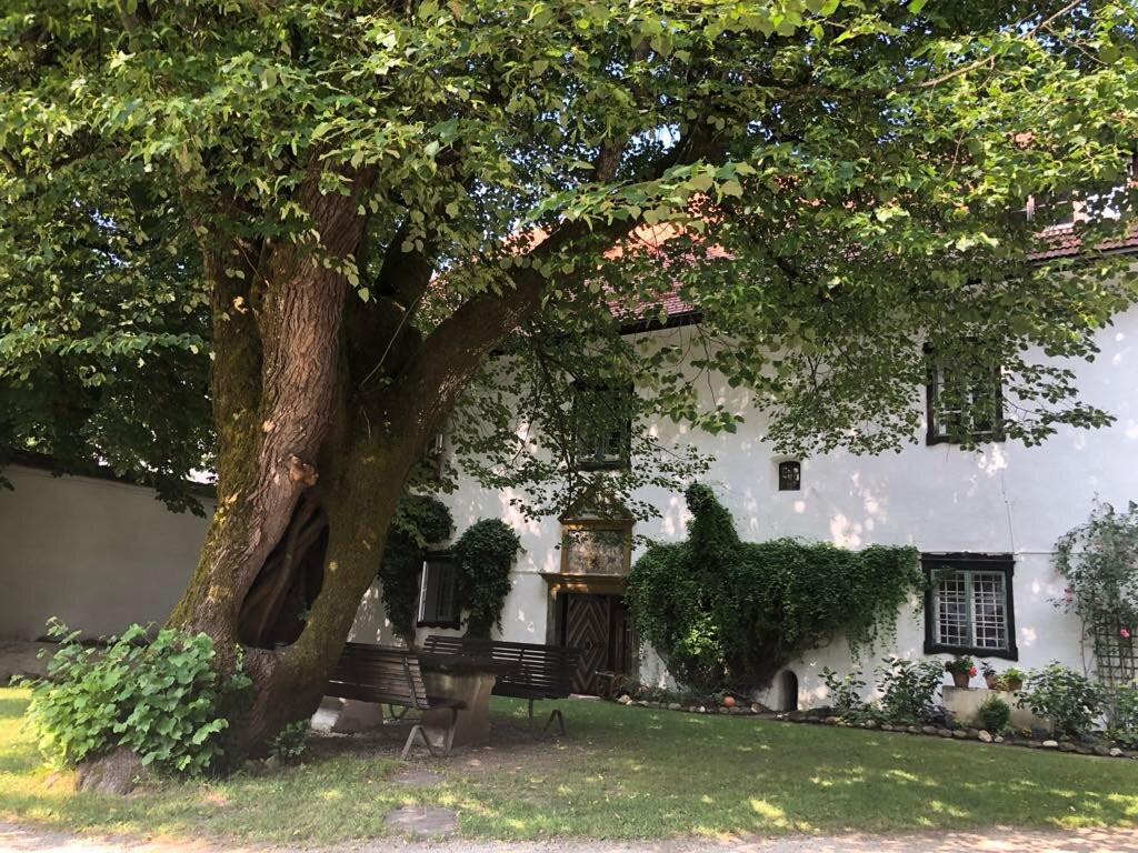 Hotel Schloss Leonstain主图