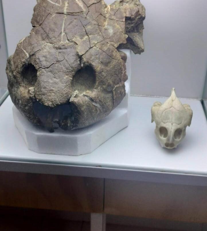 Museo De La Tatacoa-Villavieja必去景点