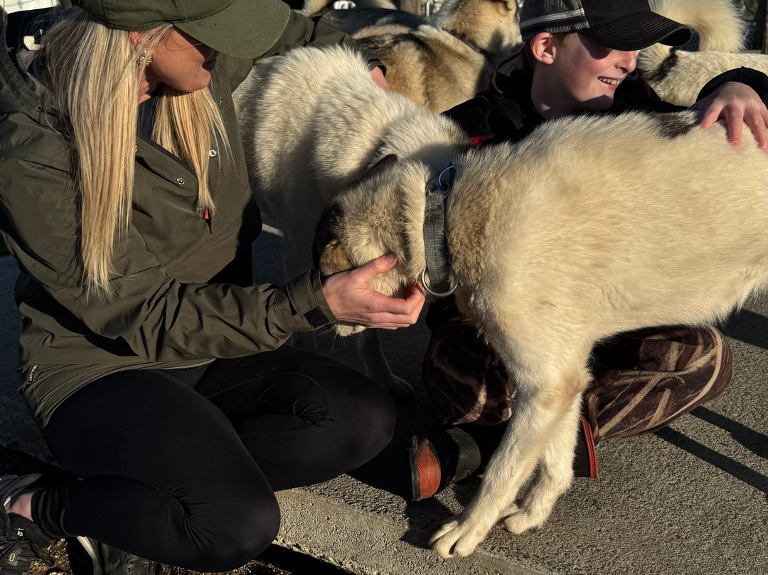Timberline Racing Siberian Huskies-陶波必去景点