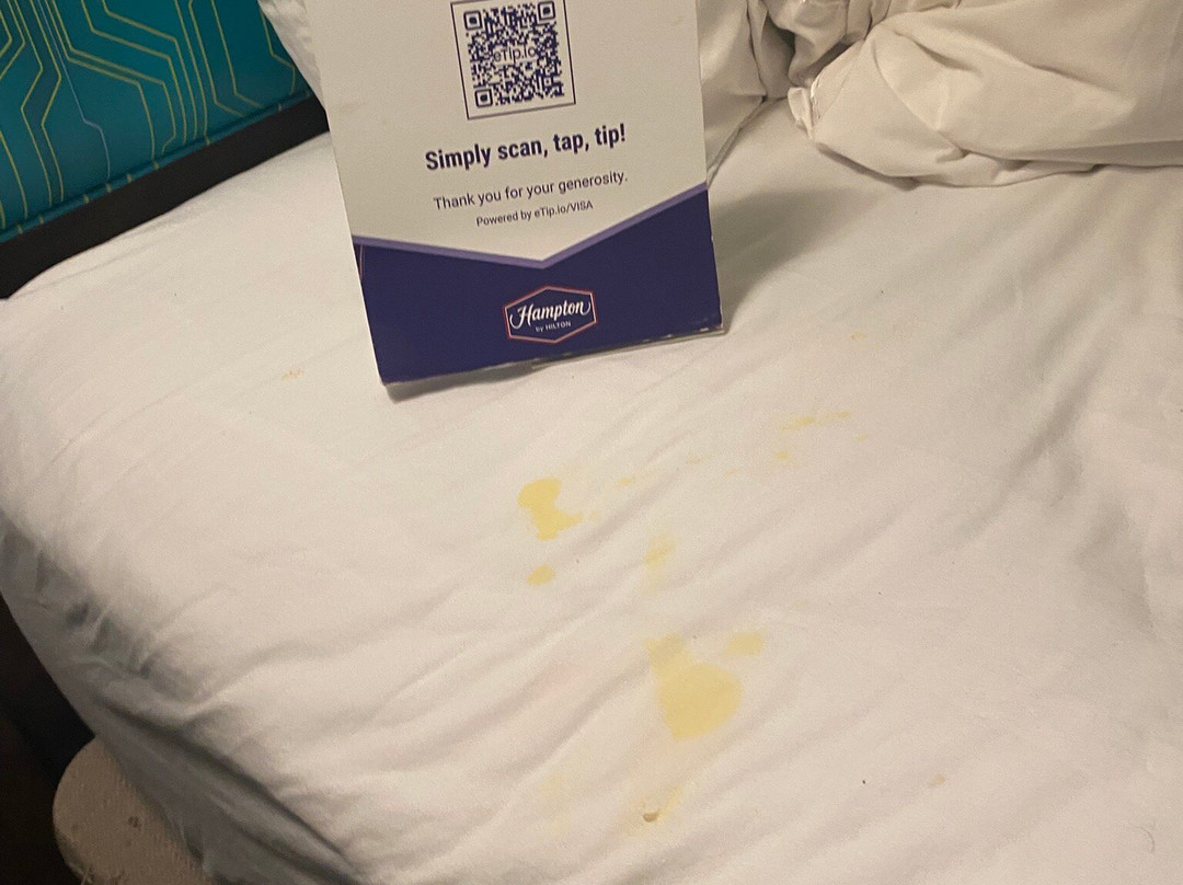 Hampton Inn & Suites Lakeland-South Polk Parkway主图