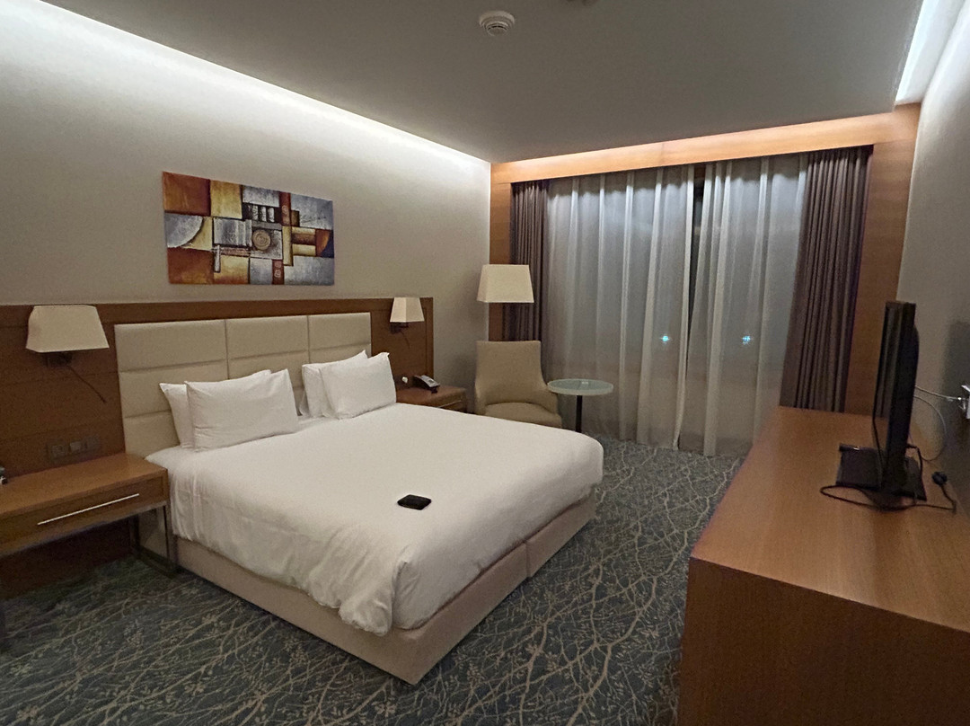 Holiday Inn Baku By IHG主图