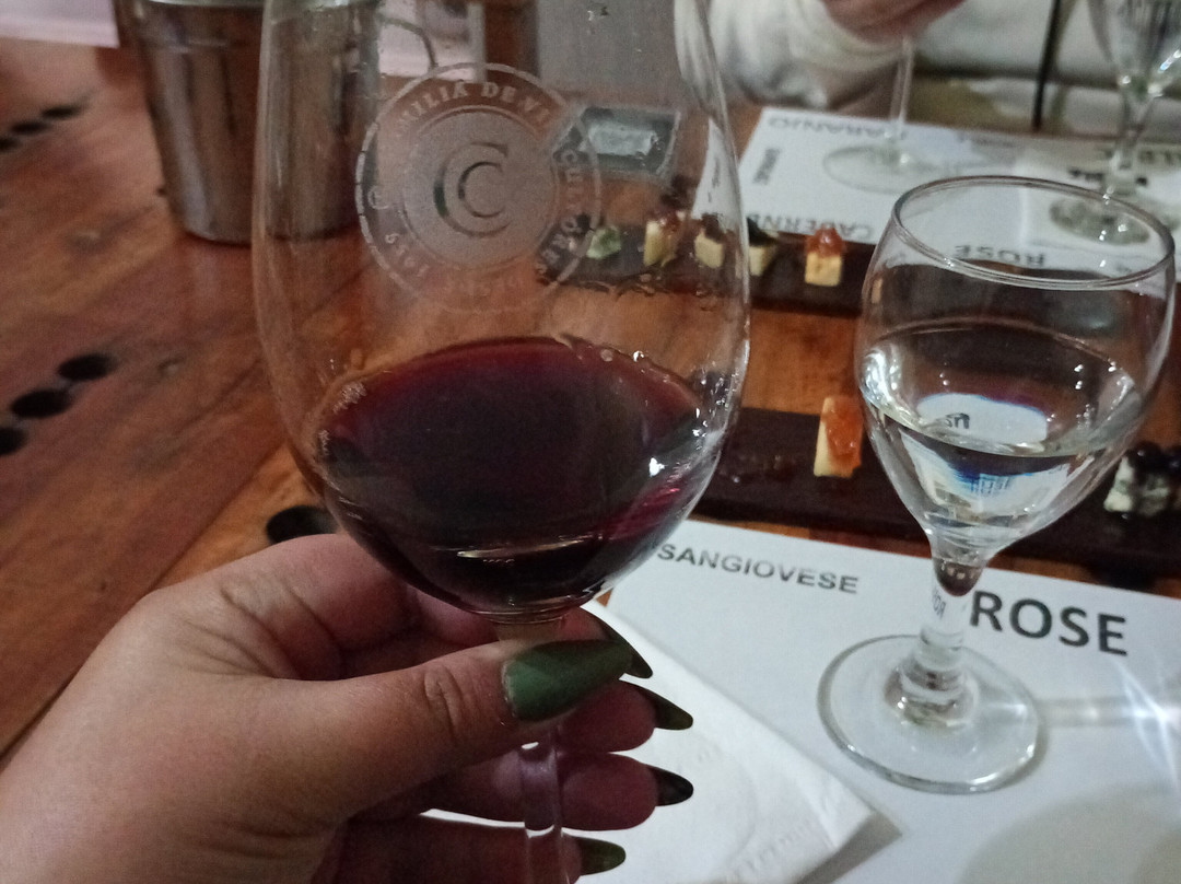 Bodega Familia Cecchin-Maipu必去景点