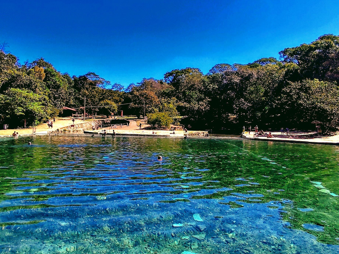 巴西利亚国家公园 (Agua Mineral)-巴西利亚必去景点