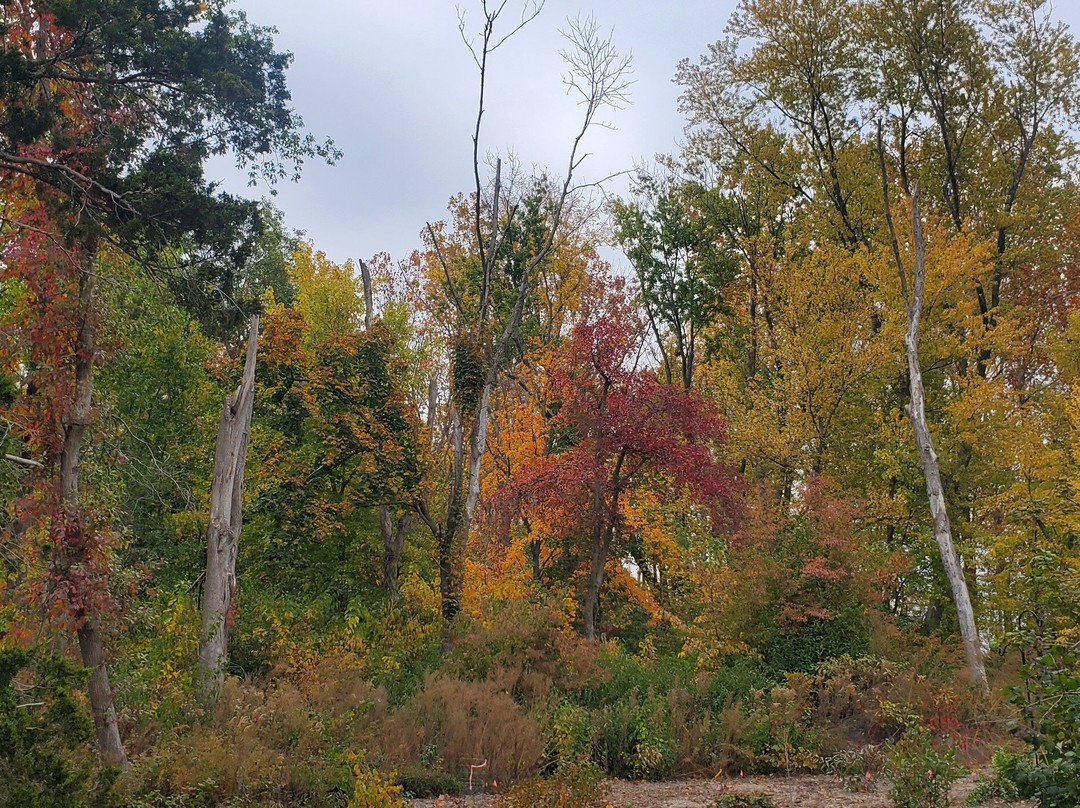 Douglas-Hart Nature Center-Mattoon必去景点
