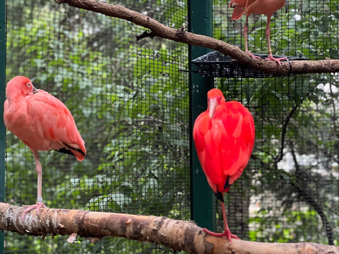 Lincoln Children's Zoo-林肯必去景点