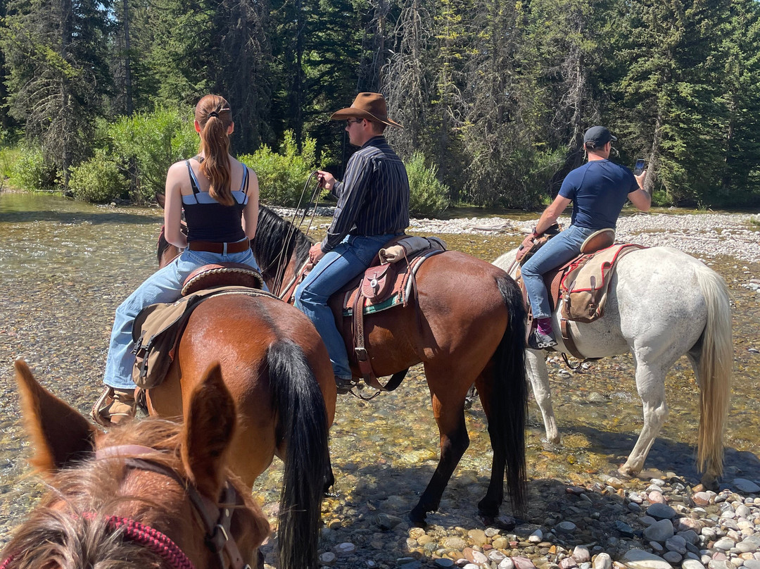 Little Jennie Ranch-Bondurant必去景点